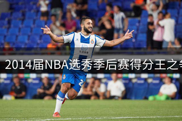 2014届NBA选秀季后赛得分王之争：约基奇力压恩比德登顶